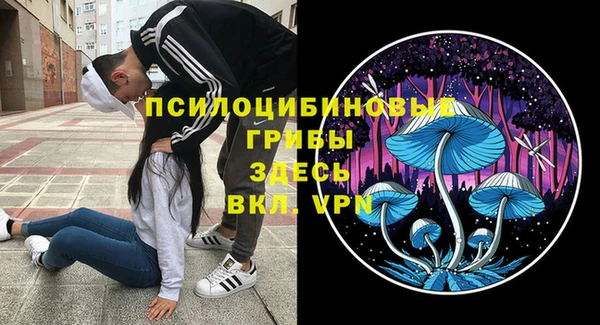 таблы Алексеевка