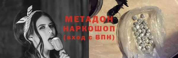стаф Алзамай